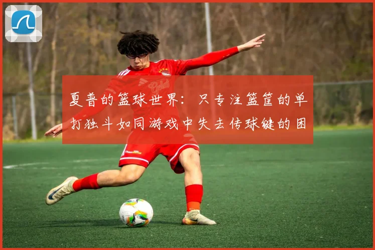 夏普的篮球世界：只专注篮筐的单打独斗如同游戏中失去传球键的困境