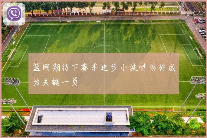 篮网期待下赛季进步小波特或将成为关键一员